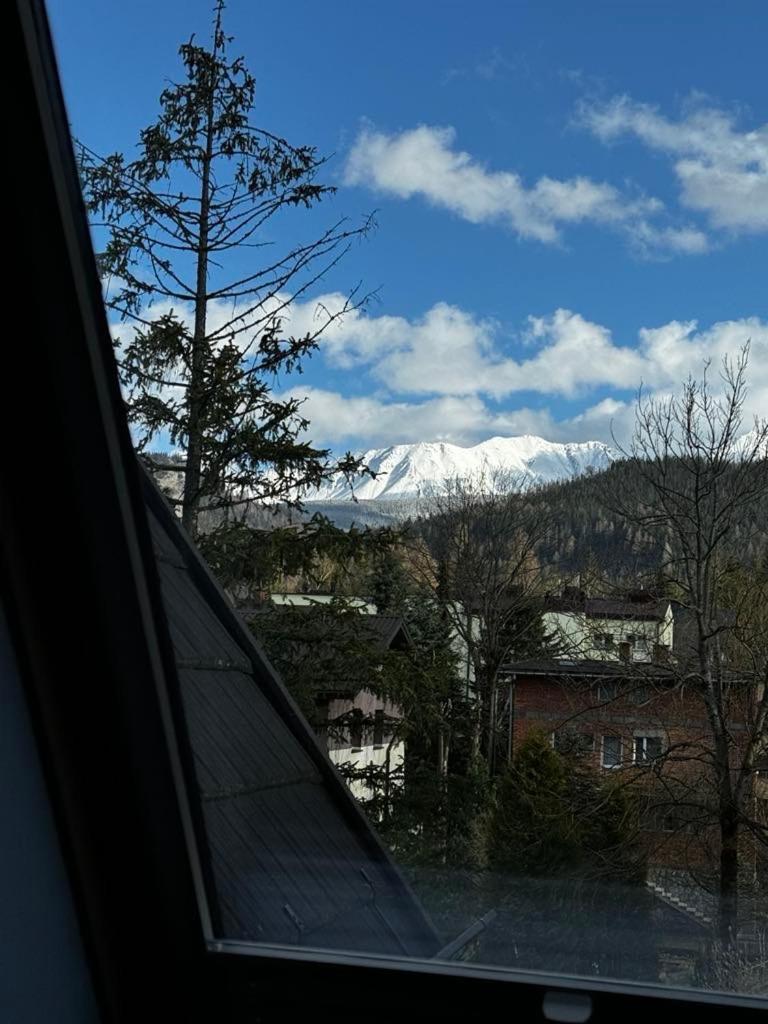 Apartament Platinum 扎科帕内 外观 照片